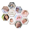 להיט החג!! כוורת דבש מתוקה - מגנטים למקרר