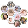 ⁦להיט החג!! כוורת דבש מתוקה - מגנטים למקרר⁩ – תמונה ⁦4⁩